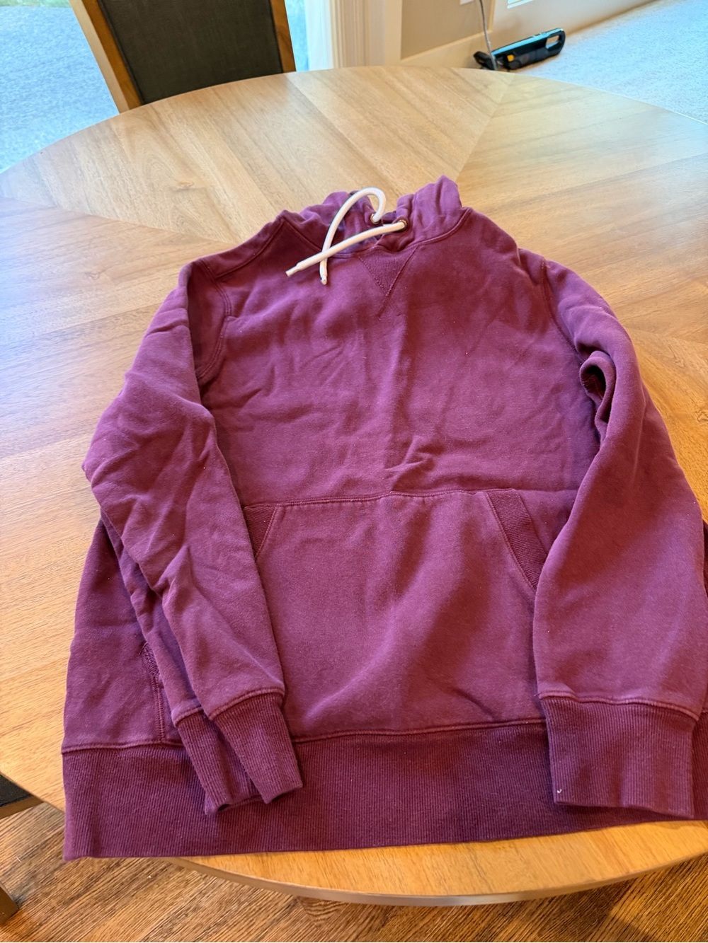 DSG Women's Hoodie in Plum